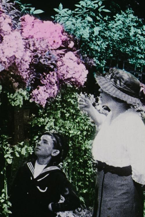 Flowers in the Garden 1914 official movie poster