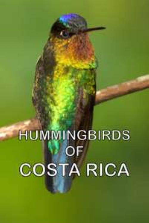 Hummingbirds of Costa Rica 2016 official movie poster
