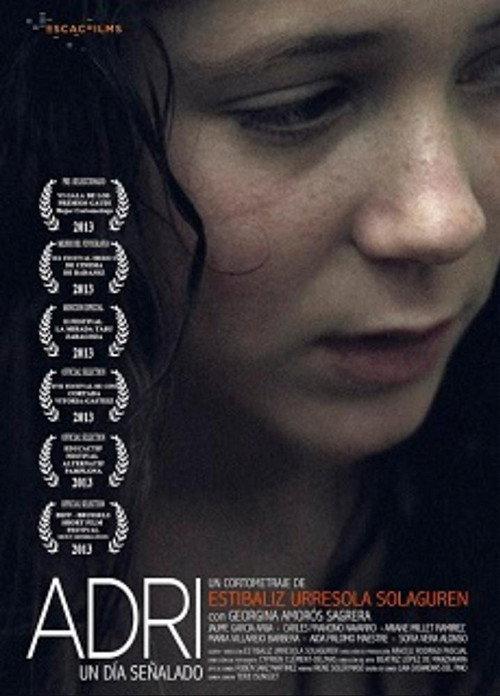 Adri 2013 official movie poster