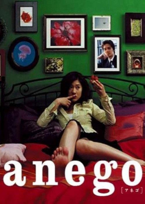 Anego Special 2005 official movie poster