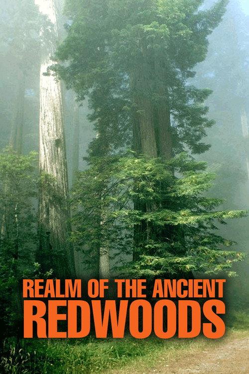 Realm of the Ancient Redwoods 2014 official movie poster