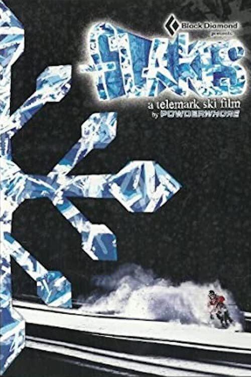 Flakes 2009 official movie poster
