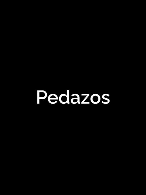 Pedazos 2022 official movie poster