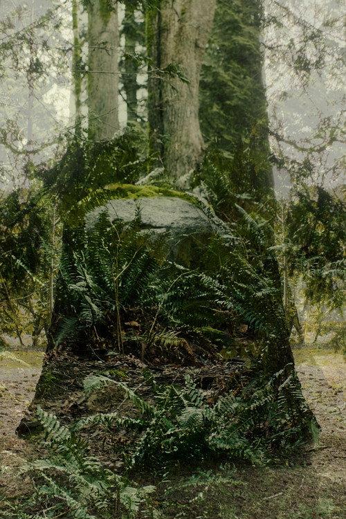 Vertical Remains 2026 official movie poster