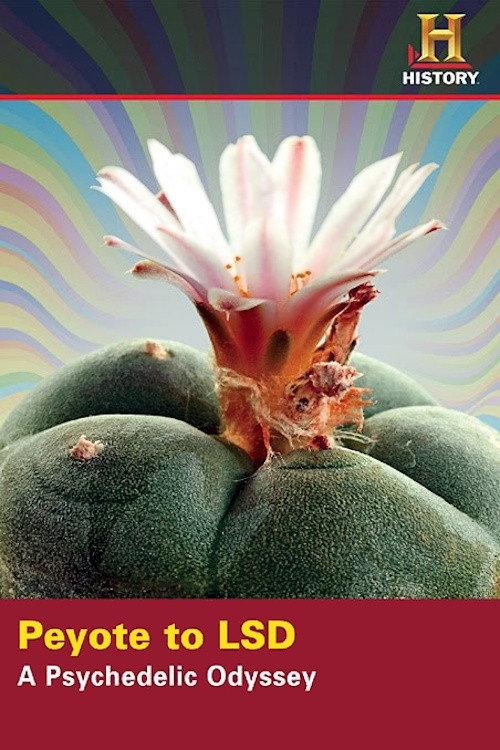 Peyote to LSD: A Psychedelic Odyssey 2008 official movie poster