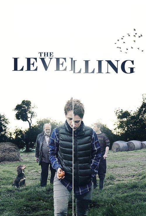 The Levelling 2017 official movie poster