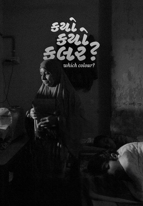 Which Colour? 2023 official movie poster