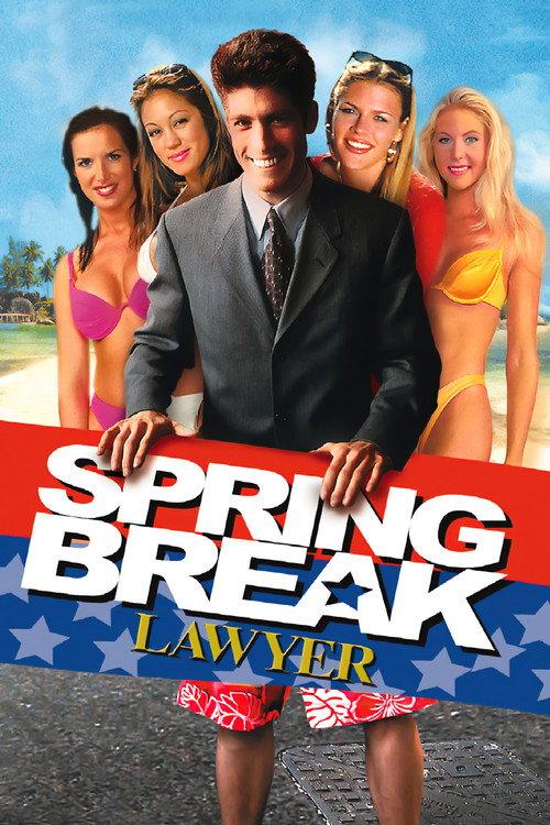 Spring Break Lawyer 2001 official movie poster
