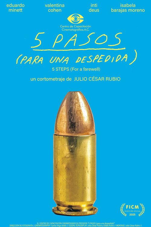5 PASOS (para una despedida) 2025 official movie poster