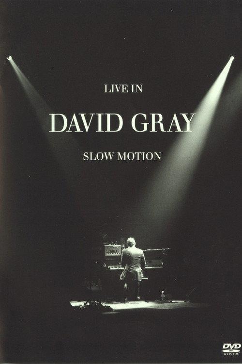 David Gray: LIVE in Slow Motion 2006 official movie poster