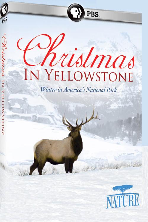 Christmas in Yellowstone 2006 official movie poster