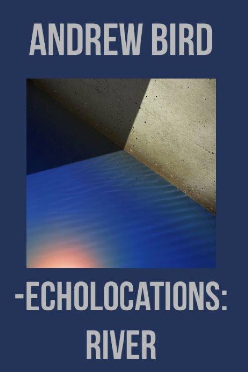 Echolocations: River 2017 official movie poster