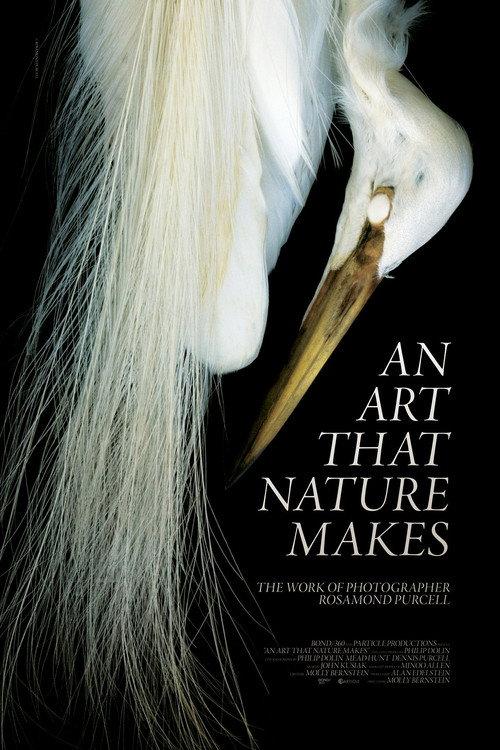 An Art That Nature Makes: The Work of Rosamond Purcell 2016 official movie poster