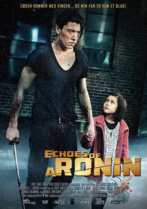 Echoes of a Ronin 2015 official movie poster