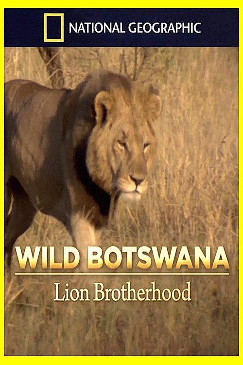 Lion Brotherhood 2013 official movie poster
