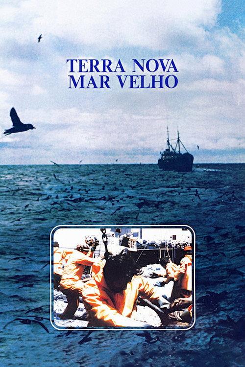 Terra Nova, Mar Velho 1983 official movie poster