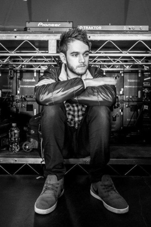 Zedd: Moment of Clarity 2014 official movie poster