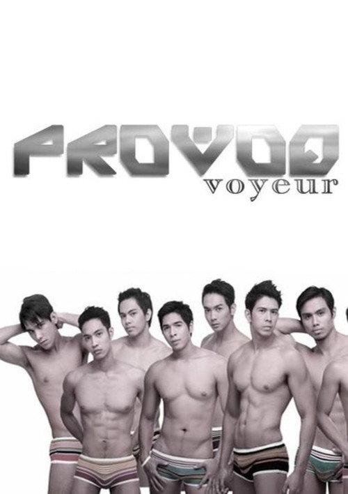 Provoq Voyeur 2006 official movie poster