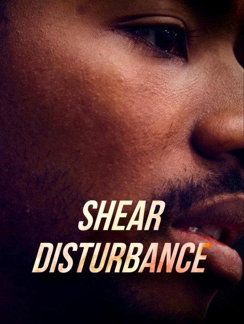 Shear Disturbance 2023 official movie poster