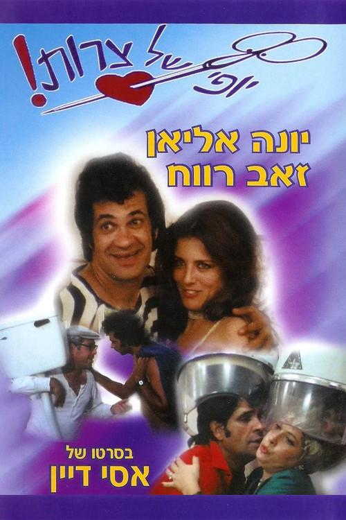Beautiful Troubles 1976 official movie poster
