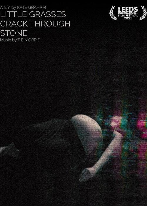 Little Grasses Crack Through Stone 2021 official movie poster