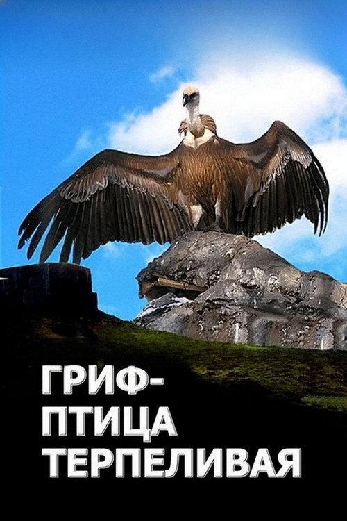 The Vulture Is a Patient Bird 1991 official movie poster