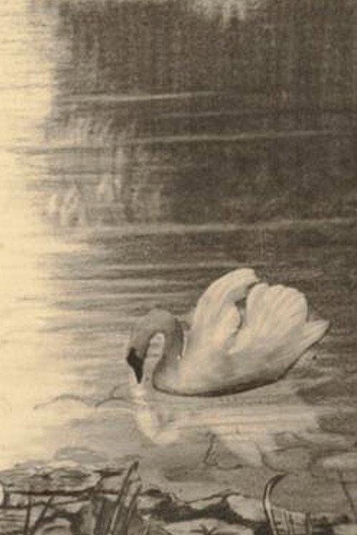 The Ugly Duckling 1928 official movie poster