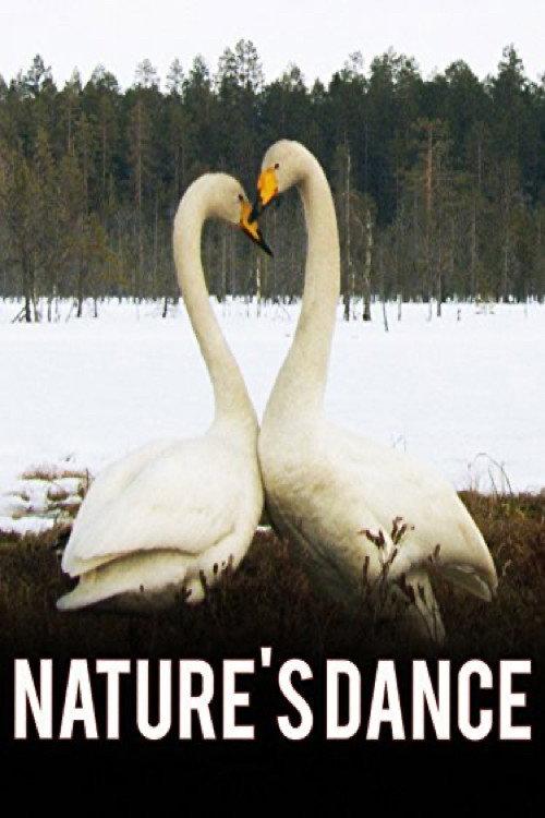 Nature's Dance 2008 official movie poster