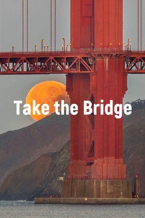 Take The Bridge 2008 official movie poster