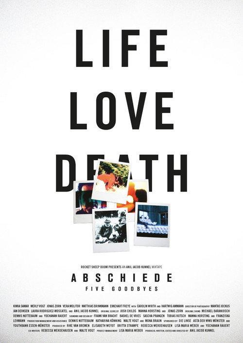 Abschiede 2011 official movie poster