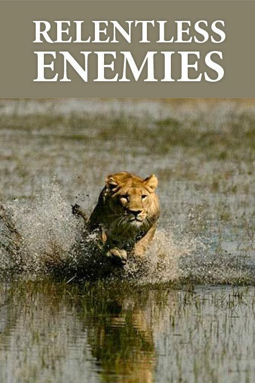 Relentless Enemies: Revealed 2022 official movie poster