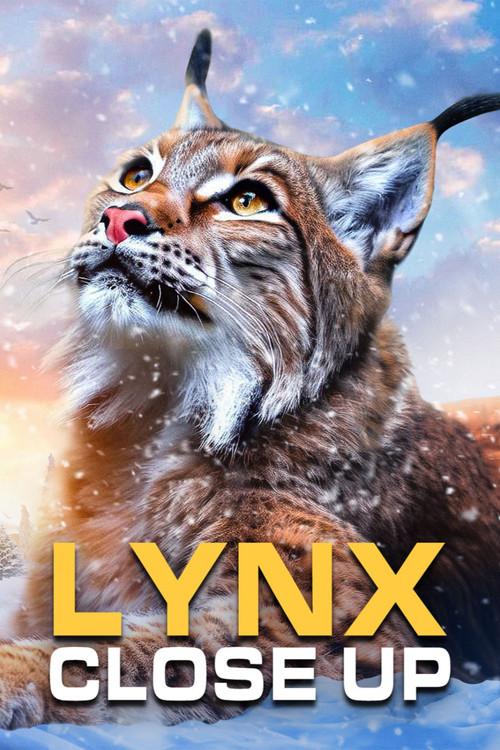 Lynx - Close Up 2019 official movie poster