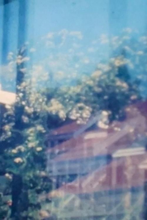 Suburban Windows 1981 official movie poster