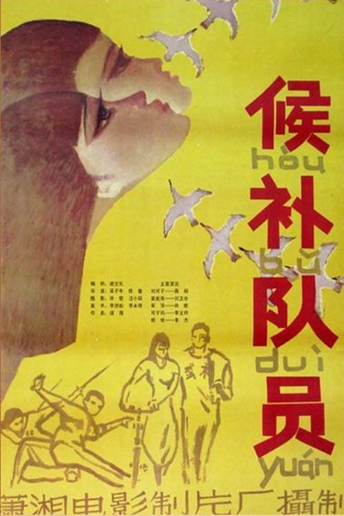 The Candidate 1983 official movie poster