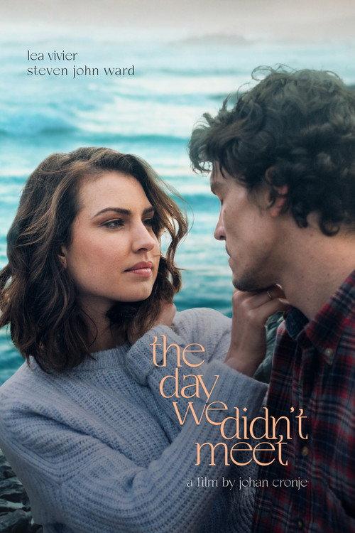 The Day We Didn't Meet 2021 official movie poster