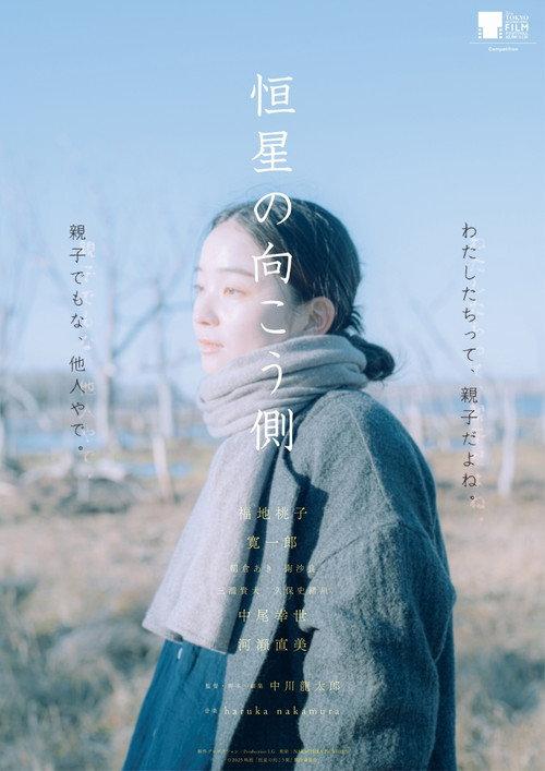 Echoes of Motherhood 2025 official movie poster