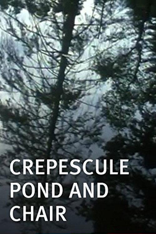 Crepescule Pond and Chair 2001 official movie poster