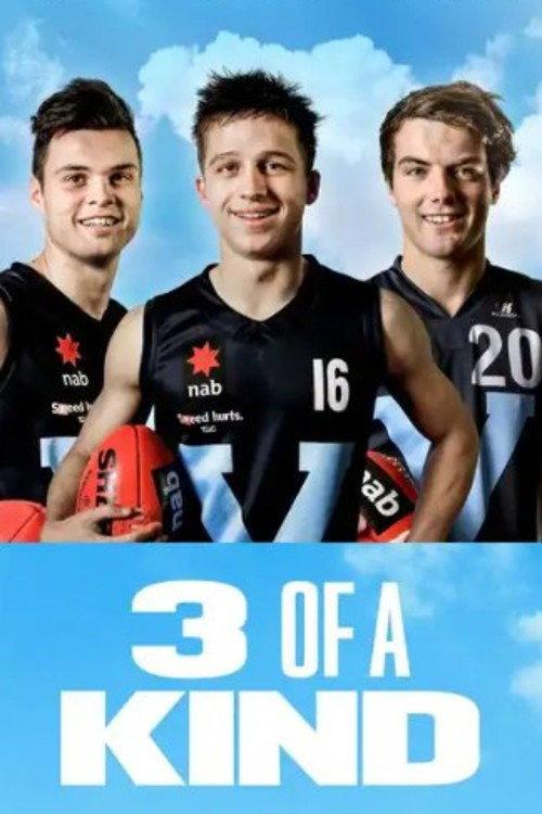 3 of a Kind 2014 official movie poster
