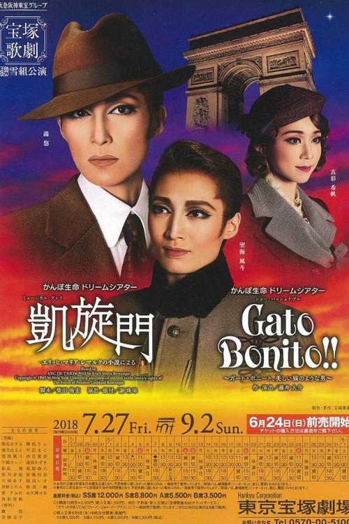 Arch of Triumph -From the Novel by Erich Maria Remarque- 2018 official movie poster