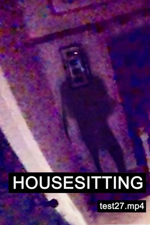 HOUSESITTING 2022 official movie poster