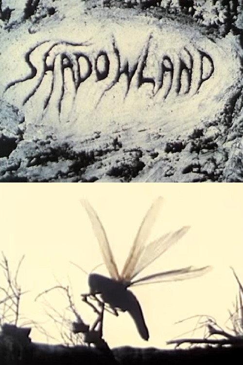 Shadowland 1988 official movie poster