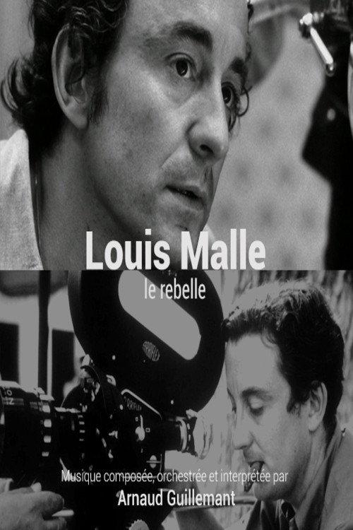 Louis Malle, le rebelle 2015 official movie poster