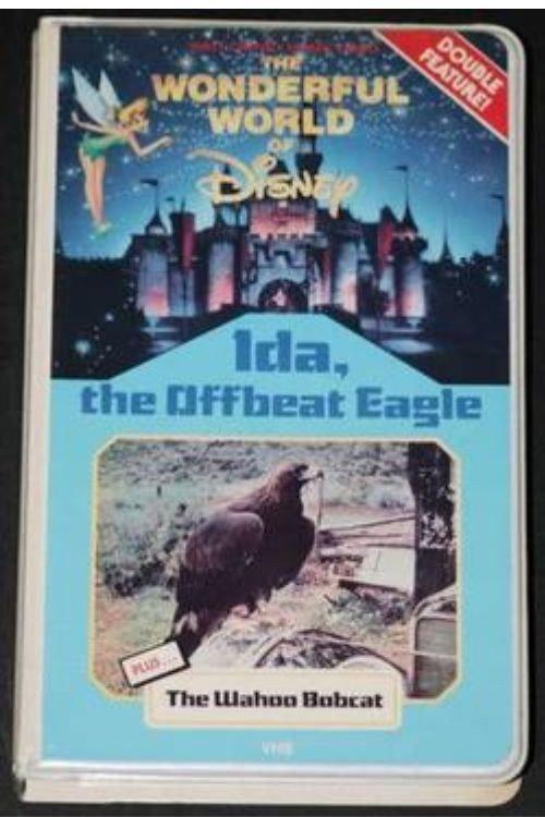 Ida, the Offbeat Eagle 1965 official movie poster