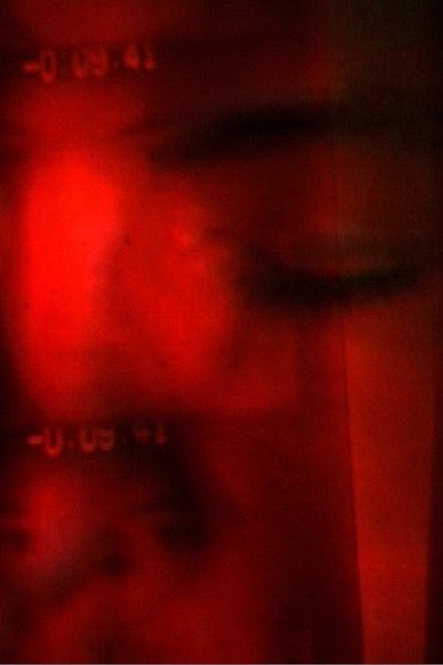 Sparklehorse 1999 official movie poster