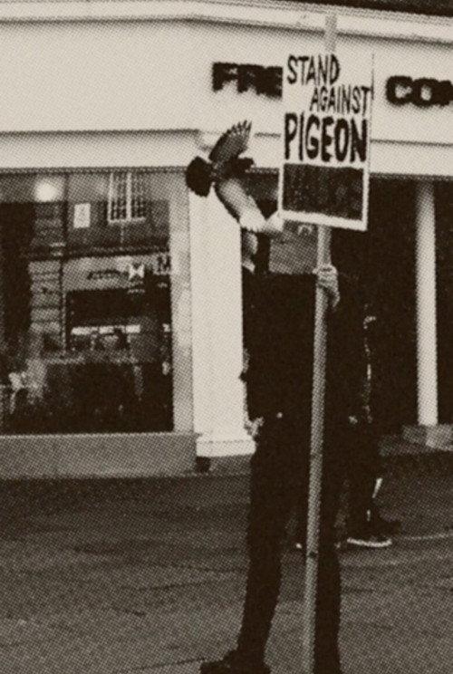 Pigeon Mafia Takes out the Trash 2023 official movie poster