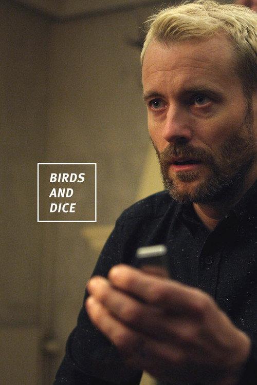 Birds and Dice official movie poster