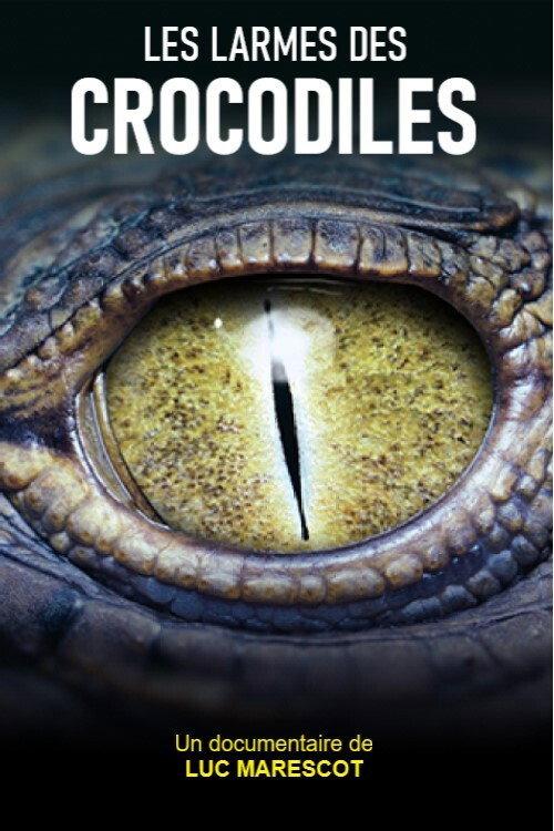 Les larmes des crocodiles 2012 official movie poster