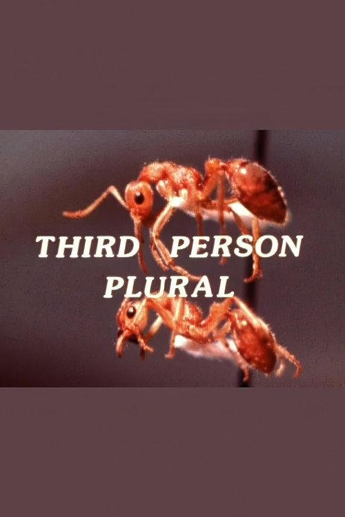 Third Person Plural 1978 official movie poster