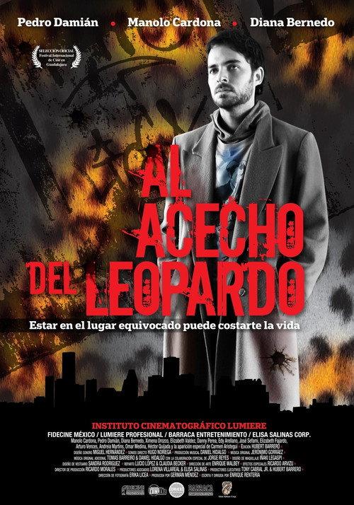 Al acecho del leopardo 2011 official movie poster