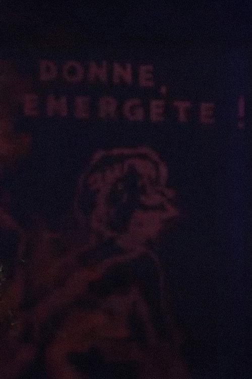 Donne emergete 1976 official movie poster